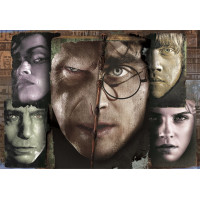 CLEMENTONI Puzzle Harry Potter 1000 dílků