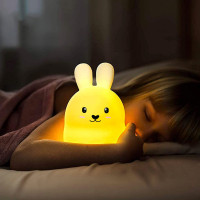 Noční LED lampička s dálkovým ovladačem KRÁLÍČEK