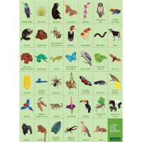 Mudpuppy Puzzle Hledání v deštném pralese
