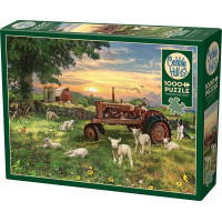 COBBLE HILL Puzzle Pole při východu slunce 1000 dílků