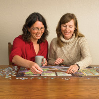 COBBLE HILL Puzzle Sluneční paprsek 500 dílků