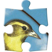 Galison Oboustranné puzzle Ptačí symfonie 250 dílků
