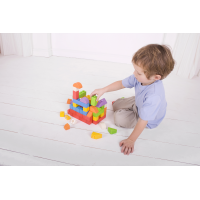 Bigjigs Baby Dřevěné Spojkostky Primary set