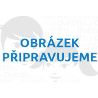 Mudpuppy Puzzle Piknik v lese 500 dílků