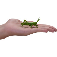 Mojo Mini svět Hmyz a pavouci 12 ks