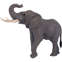 Mojo Slon africký