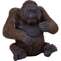 Mojo Orangutan