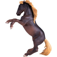 Mojo Hřebec Brumby