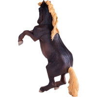 Mojo Hřebec Brumby