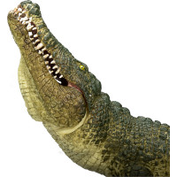 Mojo Krokodýl s kloubovou čelistí