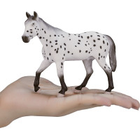 Mojo Appaloosa hřebec