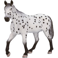 Mojo Appaloosa hřebec