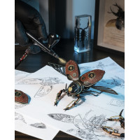 RoboTime 3D mechanické puzzle Nosorožec brouk