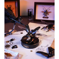 RoboTime 3D mechanické puzzle modelu Roháč obecný