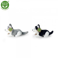 Rappa Plyšový pes Husky 17 cm ECO-FRIENDLY