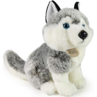 Rappa Plyšový pes Husky sedící 30 cm ECO-FRIENDLY