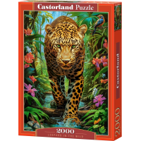 CASTORLAND Puzzle Leopard v divočině 2000 dílků
