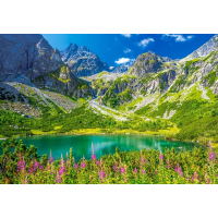 CASTORLAND Puzzle Zelené pleso, Tatry 1000 dílků