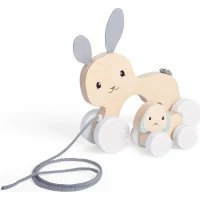 Bigjigs Toys Tahací zajíček s mládětem