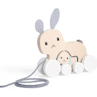 Bigjigs Toys Tahací zajíček s mládětem
