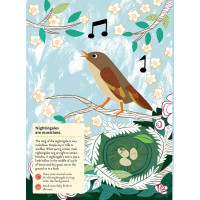 Chronicle Books Kniha aktivit se samolepkami my nature Ptáci světa