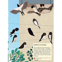 Chronicle Books Kniha aktivit se samolepkami my nature Ptáci světa