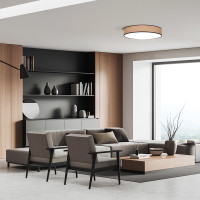 Solight LED osvětlení s dálkovým ovladačem Brownie, 60W, 4200lm, 50cm, změna chromatičnosti, stmívatelné