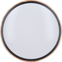 Solight LED osvětlení s dálkovým ovladačem Iron Oak, 60W, 4200lm, 51cm, změna chromatičnosti, stmívatelné