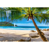 CASTORLAND Puzzle Dovolená na Seychelách 500 dílků