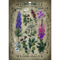 RAVENSBURGER Puzzle Jedovaté rostliny 1000 dílků