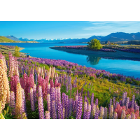 CASTORLAND Puzzle Jezero Tekapo, Nový Zéland 500 dílků