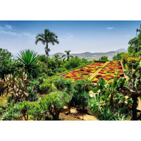 RAVENSBURGER Puzzle Kouzelné zahrady: Botanická zahrada, Madeira 1000 dílků