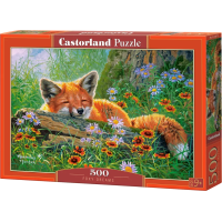 CASTORLAND Puzzle Liščí snění 500 dílků