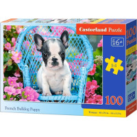 CASTORLAND Puzzle Štěně francouzského buldočka 100 dílků