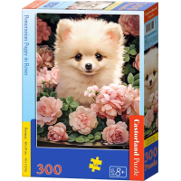 CASTORLAND Puzzle Štěně Pomeraniana v růžích 300 dílků