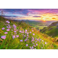 CASTORLAND Puzzle Zvonky při východu slunce 500 dílků