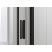Polysan EASY BLACK sprchové dveře otočné 760-900mm, čiré sklo EL1615B