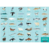 Mudpuppy Puzzle skládej a hledej Život v Arktidě 64 dílů
