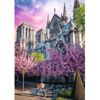 TREFL Puzzle Premium Plus Photo Odyssey: Katedrála Notre-Dame v Paříži 1000 dílků