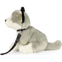Rappa Plyšový pes husky sedící s vodítkem 28 cm ECO-FRIENDLY