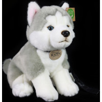 Rappa Plyšový pes husky sedící s vodítkem 28 cm ECO-FRIENDLY