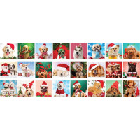 EUROGRAPHICS Puzzle Adventní kalendář: Vánoční tlapky 24x50 dílků