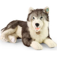 Rappa Plyšový pes husky ležící 60 cm ECO-FRIENDLY