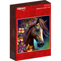 ALIPSON Čtvercové puzzle Milovník větru 1000 dílků