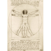 BLUEBIRD Puzzle Vitruviánský muž 1000 dílků Leonardo Da Vinci