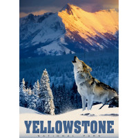 ALIPSON Puzzle Yellowstonský vlk 500 dílků