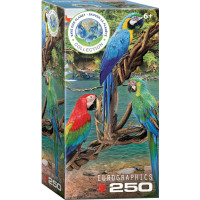 EUROGRAPHICS Puzzle Save Our Planet: Papoušci Ara XL 250 dílků