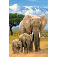 EUROGRAPHICS Puzzle Save Our Planet: Sloni XL 250 dílků