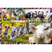 TREFL Puzzle Zábavná zvířata 4x250 dílků