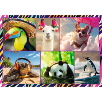 TREFL Puzzle Zábavná zvířata 4x250 dílků